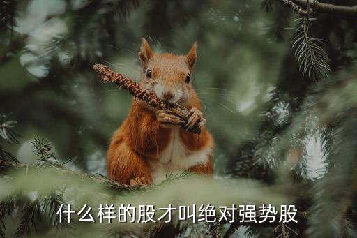 什么样的股才叫绝对强势股