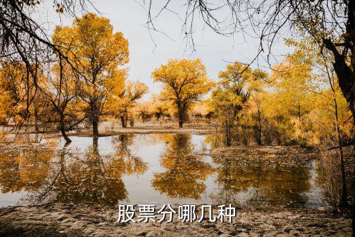 股票分哪几种