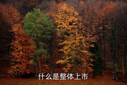 什么是整体上市