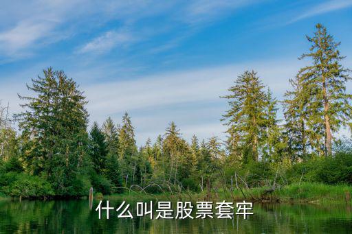 什么叫是股票套牢
