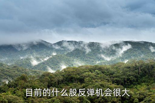 目前的什么股反弹机会很大