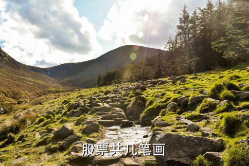 股票共几笔画