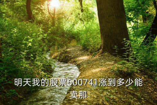 明天我的股票600741涨到多少能卖那