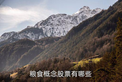 粮食概念股票有哪些