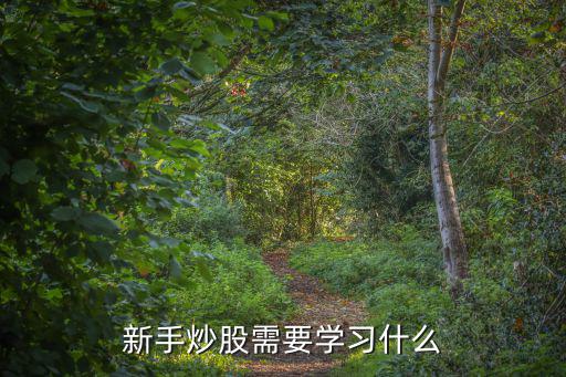 新手炒股需要学习什么