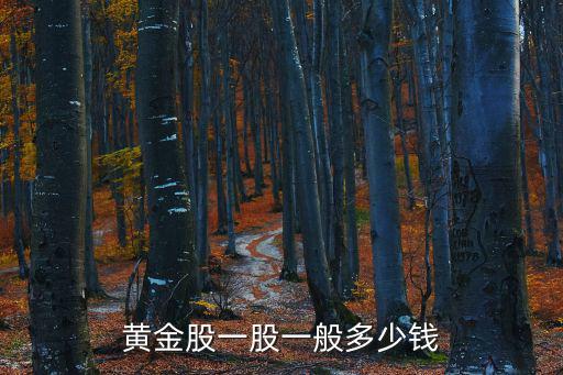 金股票多少钱，黄金股一股一般多少钱