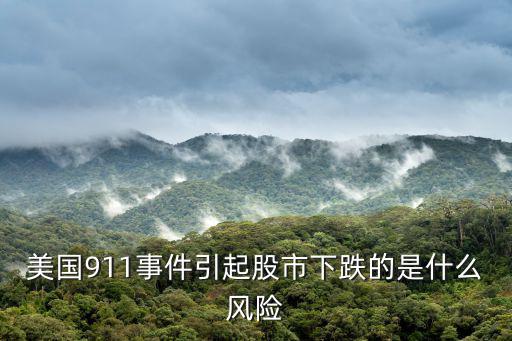 美国911事件引起股市下跌的是什么风险