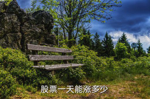 股票一天能涨多少