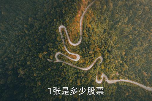 1张是多少股票