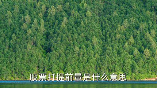 什么是股票打桩量，股票打提前量是什么意思