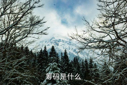筹码是什么
