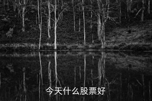 今天什么股票好