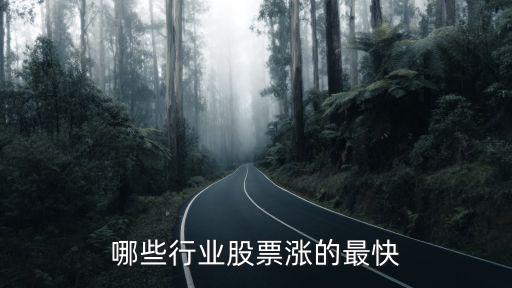 哪些行业股票涨的最快