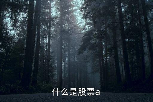 什么是股票a