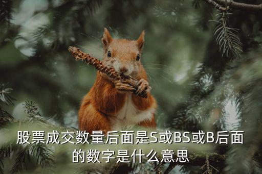 股票成交多少s，股票的成交笔数的BS都是什么意思啊