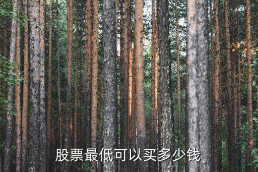 买股票最低多少本钱，炒股最低需要多少本金