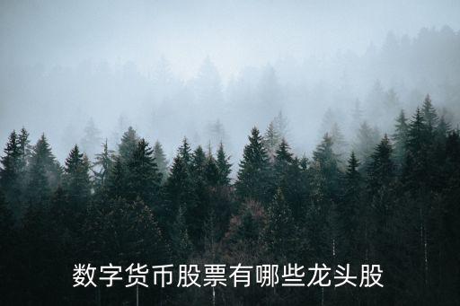数字货币股票有哪些龙头股