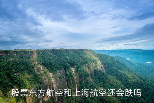 股票东方航空和上海航空还会跌吗