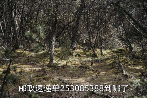 邮政速递单253085388到哪了
