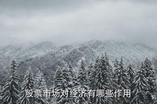 股票市场对经济有哪些作用