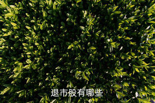 退市股有哪些
