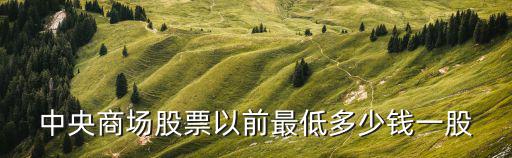 中央商场股票以前最低多少钱一股