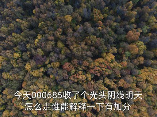 今天000685收了个光头阴线明天怎么走谁能解释一下有加分