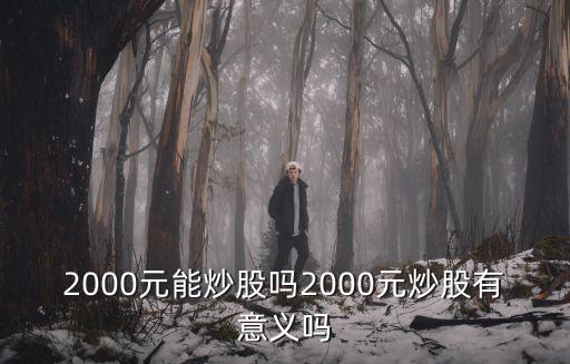 2000元能炒股吗2000元炒股有意义吗