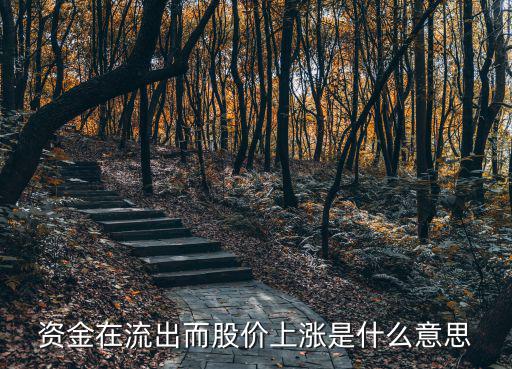 资金在流出而股价上涨是什么意思