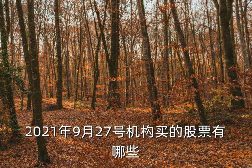 2021年9月27号机构买的股票有哪些
