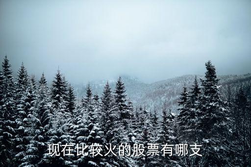 现在比较火的股票有哪支