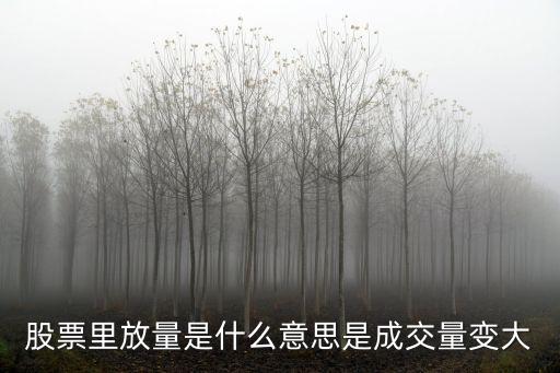 股票里放量是什么意思是成交量变大