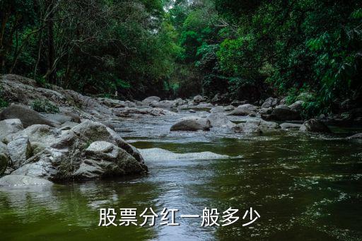 股票分红一般多少