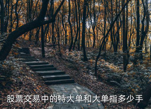 股票交易中的特大单和大单指多少手