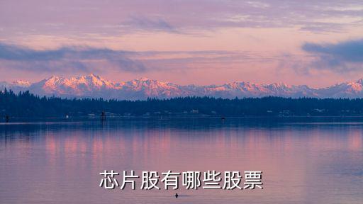 芯片概念都有什么股票，芯片股有哪些股票