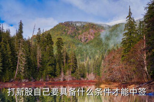 股票中签要什么条件，打新股自己要具备什么条件才能中签