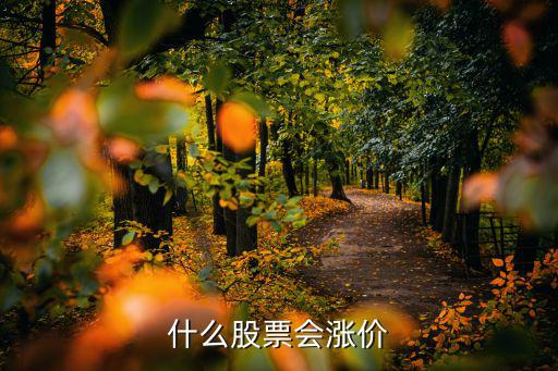 看了什么股票会涨，什么股票短期会涨