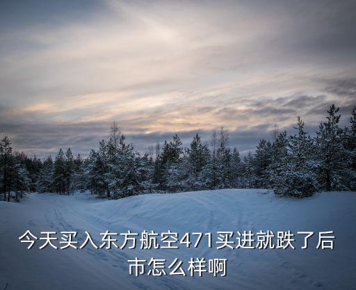 今天买入东方航空471买进就跌了后市怎么样啊