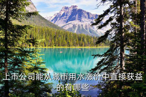 股票国内水务多少，上市公司能从城市用水涨价中直接获益的有哪些