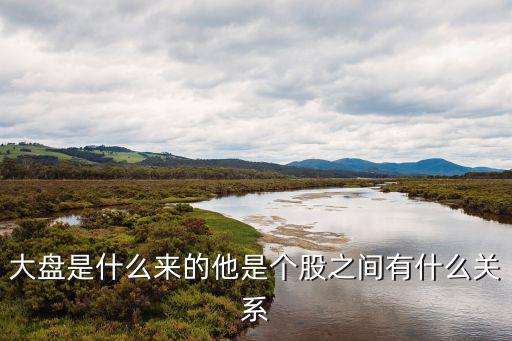 大盘是什么来的他是个股之间有什么关系