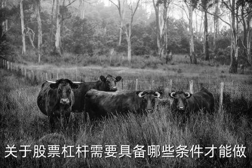 股票多少可以做杠，私人做股票杠杆需要什么条件