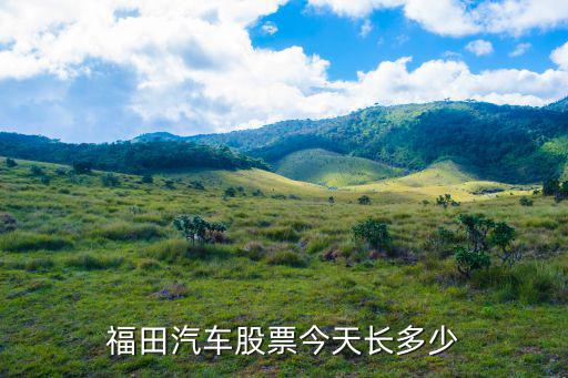 福田汽车股票今天长多少