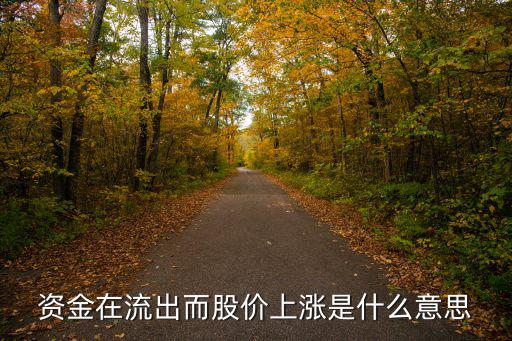 股价上涨是什么股票，股票上涨是什么