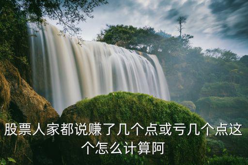 股票人家都说赚了几个点或亏几个点这个怎么计算阿