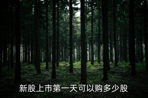 新股票中签后能买多少股票，新股上市第一天可以购多少股
