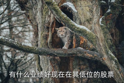 现在什么股票在底部，有什么业绩好现在在其低位的股票
