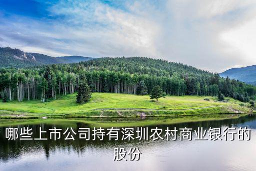 深圳银行有什么股票，现在在深圳买那个银行股票作为投资比较安全稳定的