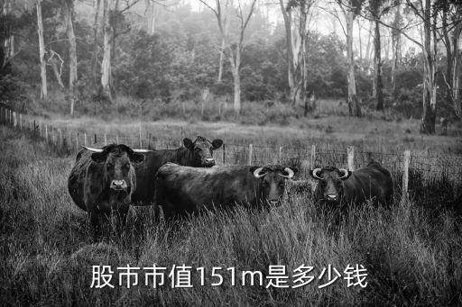 股市市值151m是多少钱