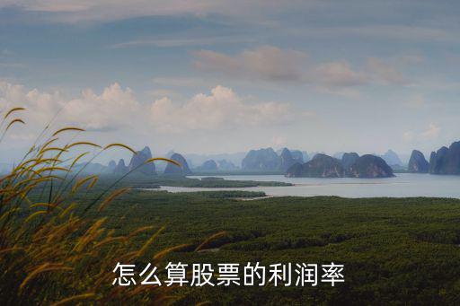 怎么算股票的利润率