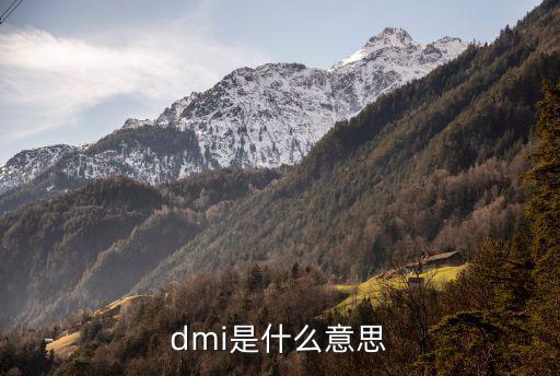 股票中dmi指什么，dmi是什么意思 dmi有哪些意思